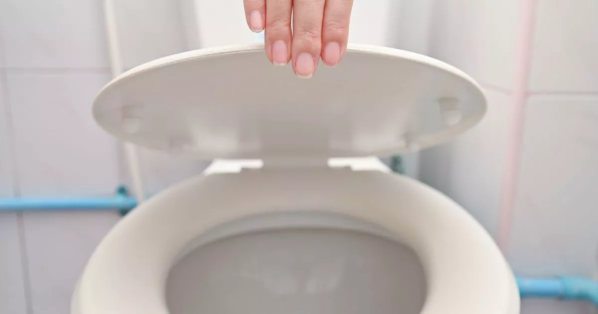 Warum es sehr empfehlenswert ist, über Nacht Eiswürfel in die Toilette zu legen