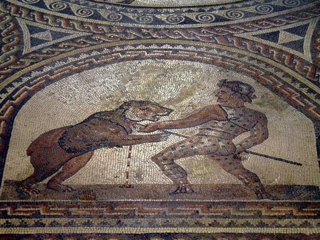 Es wurden fossile Beweise dafür gefunden, dass römische Gladiatoren in der Arena gegen Braunbären kämpften.